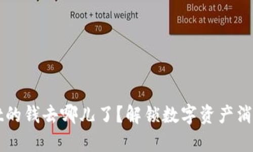 TPWallet的钱去哪儿了？解锁数字资产消失的真相