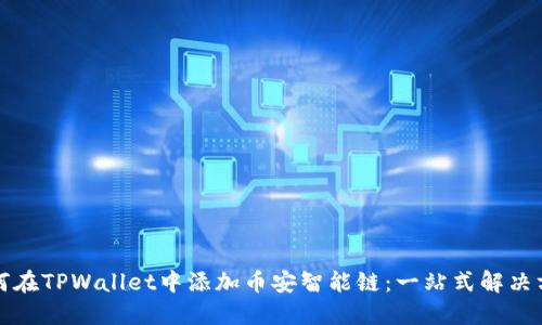 如何在TPWallet中添加币安智能链：一站式解决方案