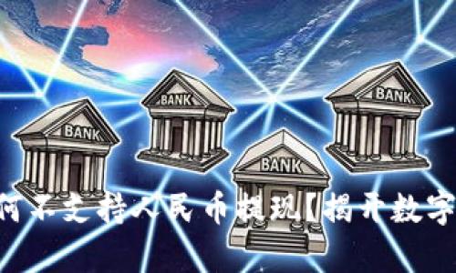TPWallet为何不支持人民币提现？揭开数字钱包的真相！