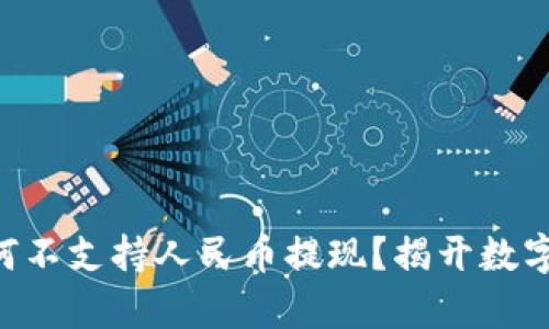 TPWallet为何不支持人民币提现？揭开数字钱包的真相！
