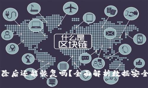 TPWallet删除后还能恢复吗？全面解析数据安全与恢复方案