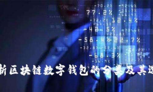 深入解析区块链数字钱包的分类及其选择指南