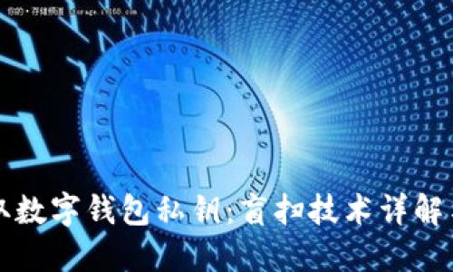 无风险获取数字钱包私钥：盲扫技术详解与实用指南
