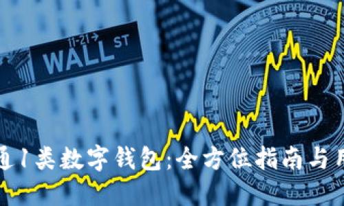 如何开通1类数字钱包：全方位指南与用户收益