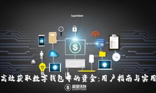如何高效获取数字钱包中的资金：用户指南与实用策略