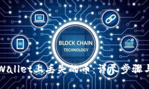 如何找回在TPWallet上丢失的币：详尽步骤与用户经验分享