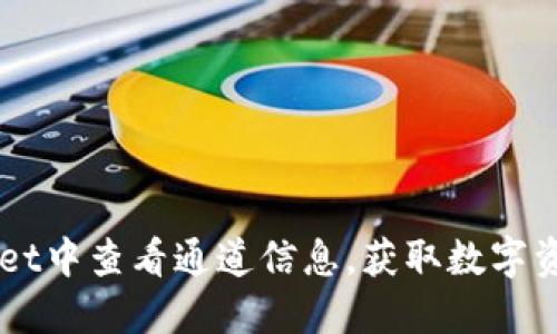 如何在TPWallet中查看通道信息，获取数字资产管理新视角