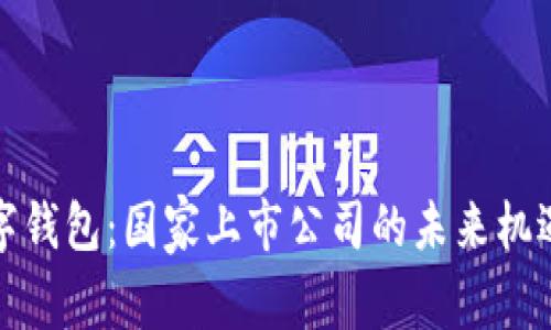 探索数字钱包：国家上市公司的未来机遇与挑战