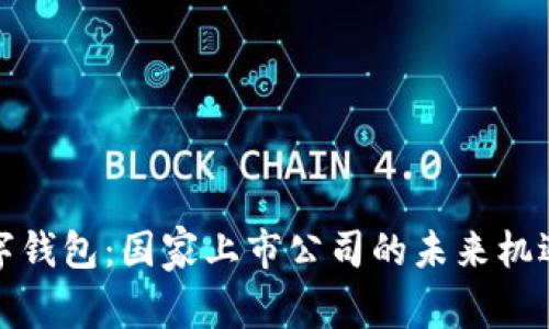 探索数字钱包：国家上市公司的未来机遇与挑战