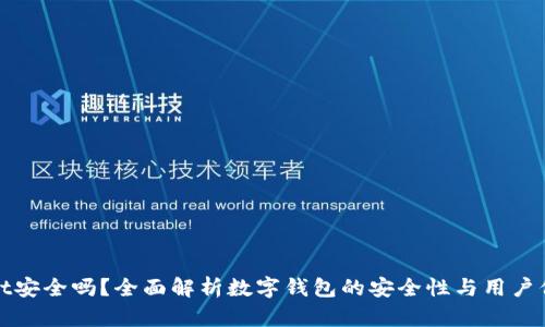 TPWallet安全吗？全面解析数字钱包的安全性与用户保护措施