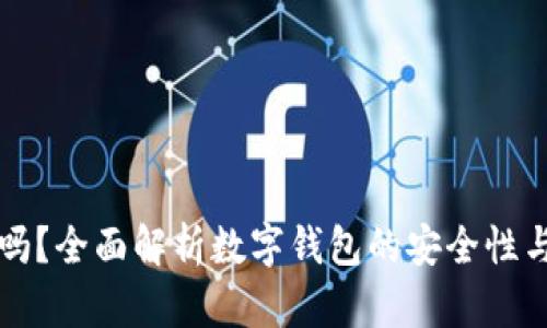 TPWallet安全吗？全面解析数字钱包的安全性与用户保护措施