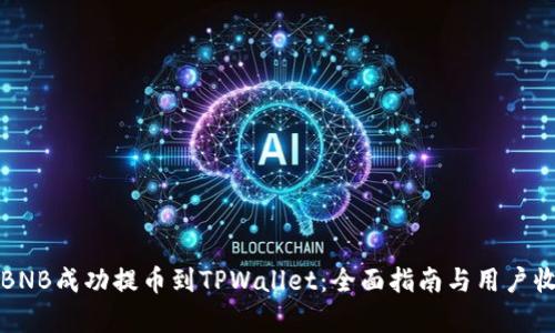 如何将BNB成功提币到TPWallet：全面指南与用户收益分析