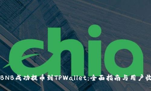 如何将BNB成功提币到TPWallet：全面指南与用户收益分析
