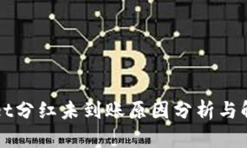 TPWallet分红未到账原因分析与解决方案