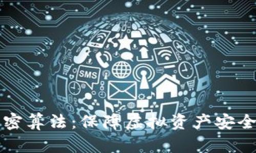 数字钱包加密算法：保障虚拟资产安全的技术之盾