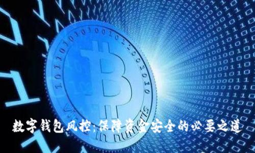 数字钱包风控：保障资金安全的必要之道
