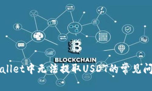 解决TPWallet中无法提取USDT的常见问题及指导
