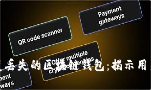 如何安全恢复丢失的区块链钱包：揭示用户价值和偏向