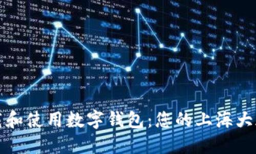 如何下载和使用数字钱包：您的上海大都会指南