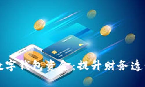 如何高效追踪数字钱包资金：提升财务透明度的实用指南