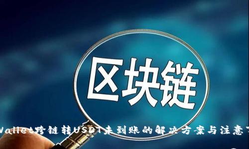 TPWallet跨链转USDT未到账的解决方案与注意事项