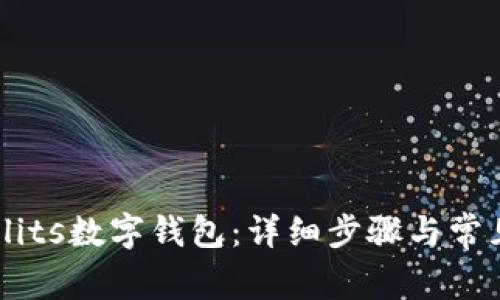 如何登录Flits数字钱包：详细步骤与常见问题解答