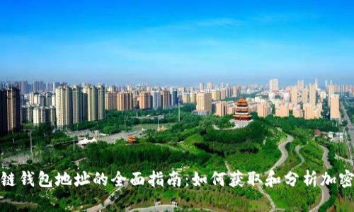 追踪区块链钱包地址的全面指南：如何获取和分析加密资产信息