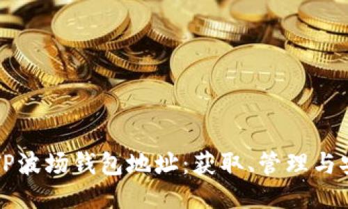 如何找到TP波场钱包地址：获取、管理与安全性指南