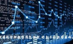 如何有效管理数字钱包借款，避免不还款带来的