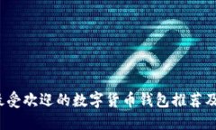 2023年最受欢迎的数字货币钱包推荐及选购指南