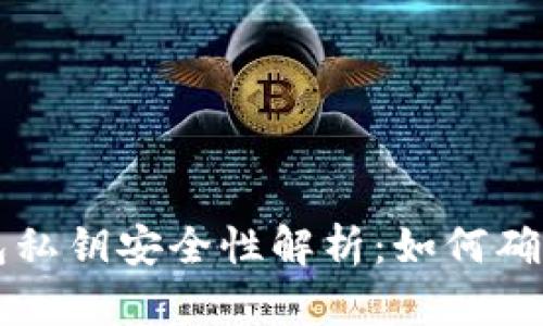 TPWallet生成的钱包私钥安全性解析：如何确保数字资产的安全性