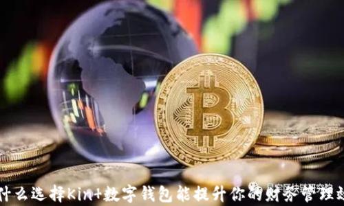 
为什么选择Kin 数字钱包能提升你的财务管理效率