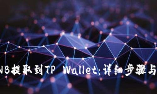 如何将BNB提取到TP Wallet：详细步骤与注意事项