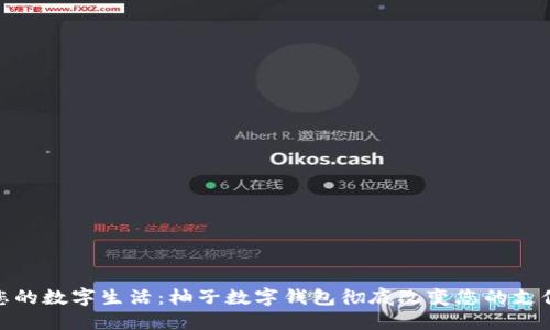 打造您的数字生活：柚子数字钱包彻底改变您的支付体验