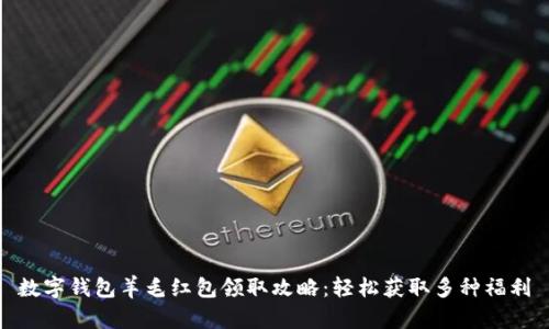 数字钱包羊毛红包领取攻略：轻松获取多种福利