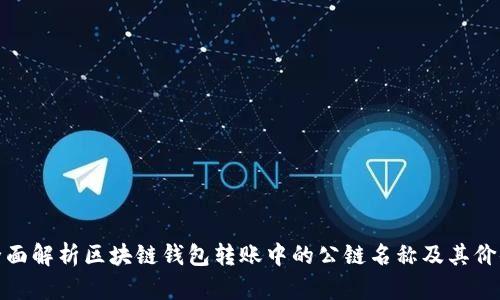 全面解析区块链钱包转账中的公链名称及其价值