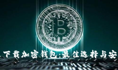 在哪里下载加密钱包：最佳选择与安全指南
