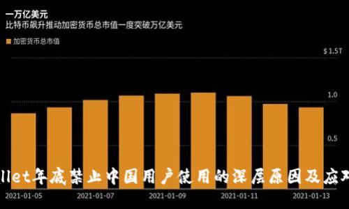TPWallet年底禁止中国用户使用的深层原因及应对策略
