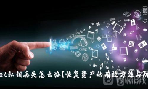 TPWallet私钥丢失怎么办？恢复资产的有效方法与防范措施