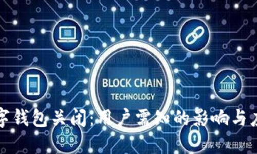 中行数字钱包关闭：用户需知的影响与应对策略