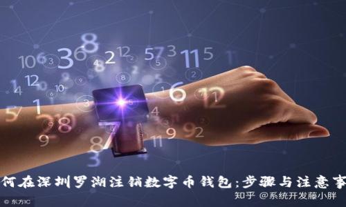 如何在深圳罗湖注销数字币钱包：步骤与注意事项