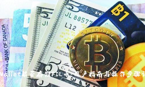 TPWallet能否存储FIL币：用户指南与操作步骤详解