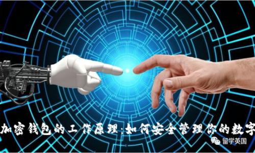 揭秘加密钱包的工作原理：如何安全管理你的数字资产