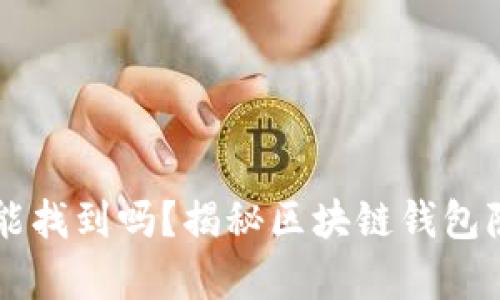 区块链钱包地址能找到吗？揭秘区块链钱包隐私与安全的真相