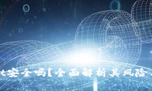 TPWallet安全吗？全面解析其风险与安全性
