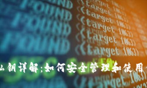 TPWallet的私钥详解：如何安全管理和使用你的加密资产
