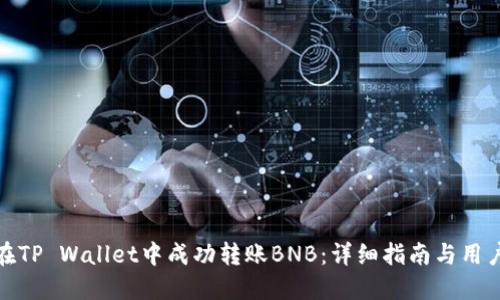 如何在TP Wallet中成功转账BNB：详细指南与用户经验