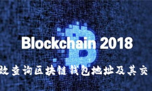 如何高效查询区块链钱包地址及其交易记录？