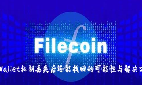 TPWallet私钥丢失后还能找回的可能性与解决方案