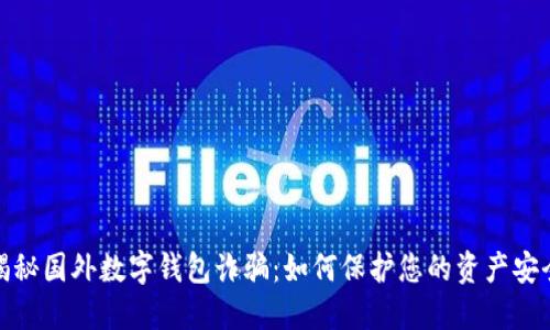 揭秘国外数字钱包诈骗：如何保护您的资产安全